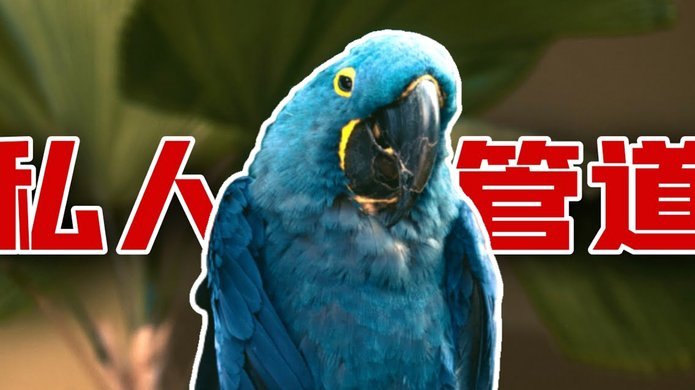 得物分期提现能实现吗？
