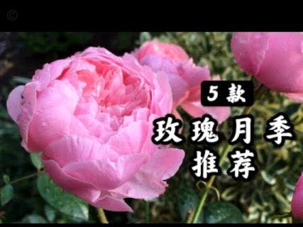 花呗套贷全解析：你到底图什么？