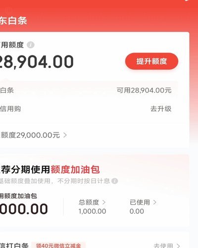 白条如何申请？