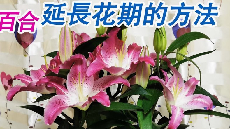 花呗套现费：争议与合理性