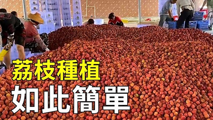 便荔卡包入口怎么找