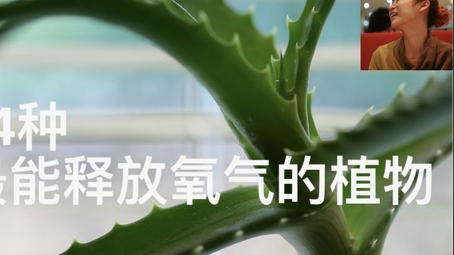 得物余额如何提现