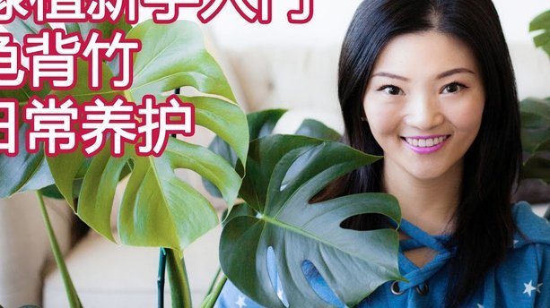 携程拿去花背后的商业模式解析