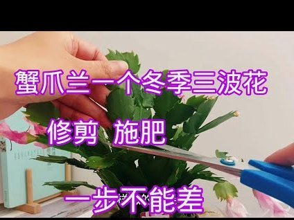 携程拿去花怎么套