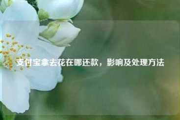 携程“拿去花”借款如何还款