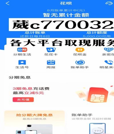 支付宝花呗：先消费后还款的信用新生态