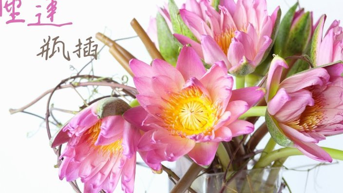 花呗这个平台合法吗知乎