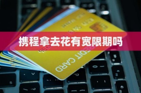 携程花取现支持分期吗？灵活还款方式解析