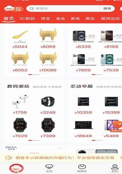 羊小咩：年轻潮流电商的新星
