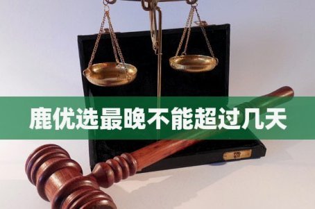 鹿优选商城额度审核要多久