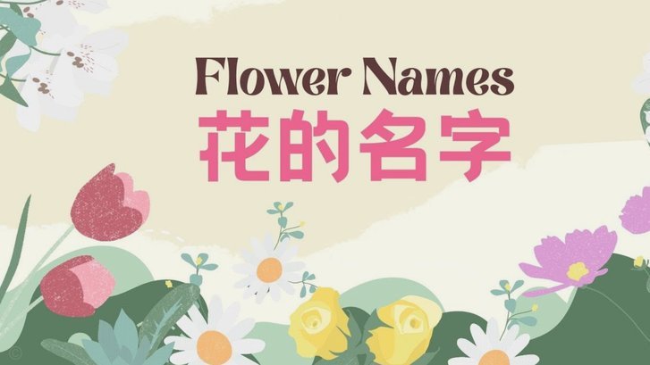 花呗属于哪个平台