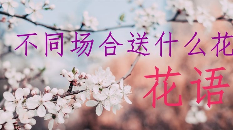 花呗取现：费用、风险与使用指南