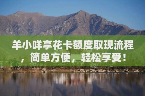 羊小咩取现