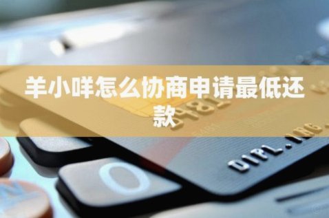羊小咩备用金怎么申请