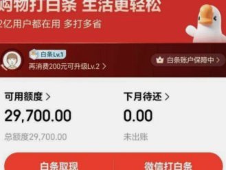 白条商家取现