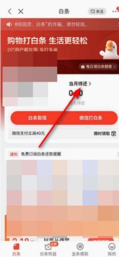 京东白条变现技巧：如何将额度取回？