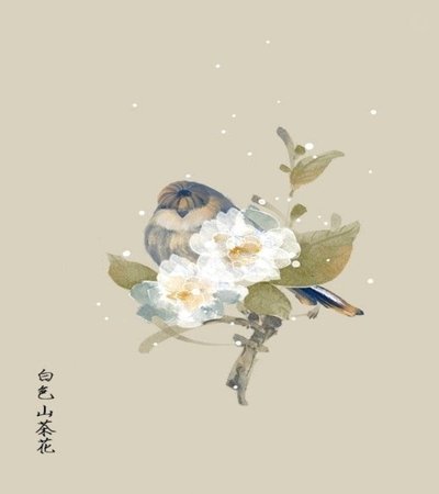 花呗使用平台 平台会知道吗