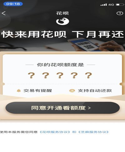 花呗现象 平台是什么