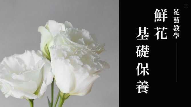 花呗如何安全套现