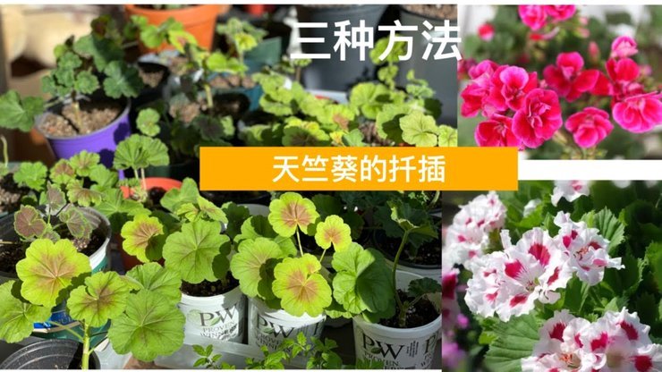 拿去花套现回收商家将面临哪些具体处罚后果？
