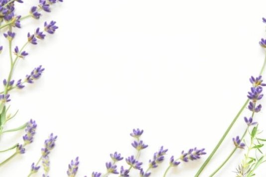 花呗：支付与金融的双重角色