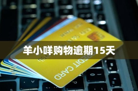 羊小咩没收到货如何退货