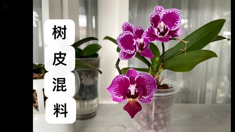 套现花呗平台有哪些