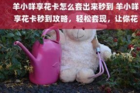 羊小咩可以套