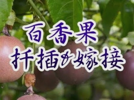 便荔卡怎么刷出来