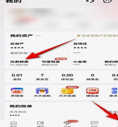 白条出账日是哪天