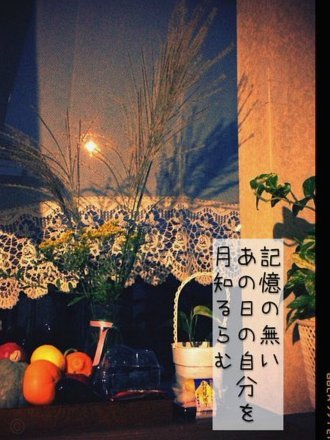 京东白条能否在便利店购物？