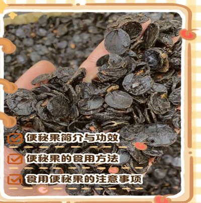便利果：新饮食的迷局
