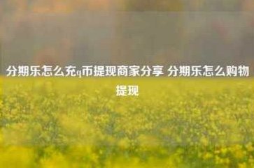 分期乐提现到银行卡全攻略：步骤、时间与费用指南