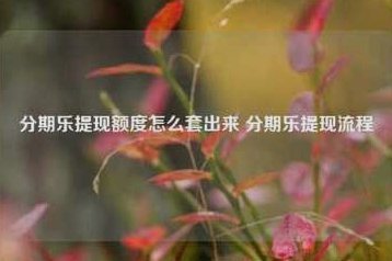分期乐怎么提现到银行卡吗
